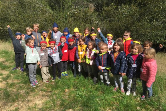 Stages vacances été 2026 chez Ami Tomake