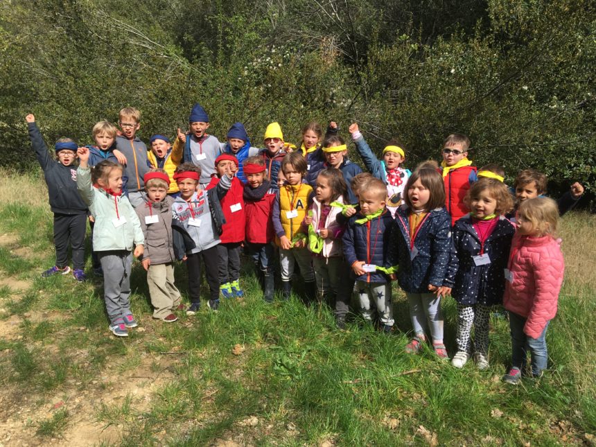 Stages vacances été 2026 chez Ami Tomake